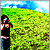:iconmediodia: