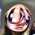 :iconmedusastoneeyes:
