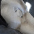 :iconmeduza-black:
