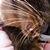 :iconmedy88: