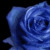 :iconmee-yon: