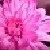 :iconmeeb98:
