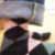 :iconmeechayyay: