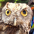 :iconmeek-photography: