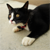 MEeko-j :iconmeeko-j: