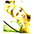 :iconmeepasaur: