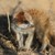 Meer12345 :iconmeer12345:
