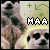 :iconmeerkatsandall:
