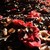 :iconmeg-aspired: