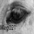 :iconmeg021: