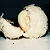 :iconmeg94: