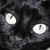 :iconmega78: