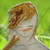 :iconmegagamergal: