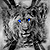 :iconmegahalo: