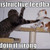 :iconmegajow:
