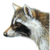 :iconmegajoy-coon: