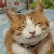 :iconmegan-howl35: