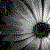 :iconmegandawne: