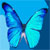 :iconmegann-brianne: