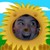 :iconmeganopolis: