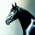 :iconmegareakin: