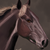 :iconmegarie: