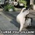 Megatyrant :iconmegatyrant: