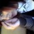 :iconmegfosho: