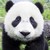 :iconmeggie4556: