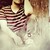 :iconmegoart: