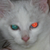:iconmegumi-mix: