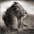 :iconmehul144:
