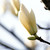 :iconmehwish-s: