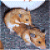 :iconmehyop:
