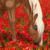 :iconmeikeeequidenstock: