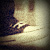 :iconmeisster: