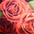 :iconmel-barton: