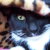 :iconmel-the-designer: