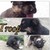 :iconmel2108:
