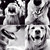 :iconmel646: