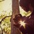 :iconmela777: