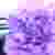 :iconmelainaymavro: