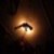 :iconmelancholy06: