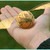 MelancholyHappiness :iconmelancholyhappiness: