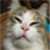 :iconmelanie999:
