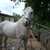 :iconmele-etos-daughter: