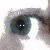 :iconmeleoma: