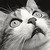 :iconmelian-storm: