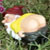 :iconmelibelly: