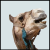 :iconmeliciousart:
